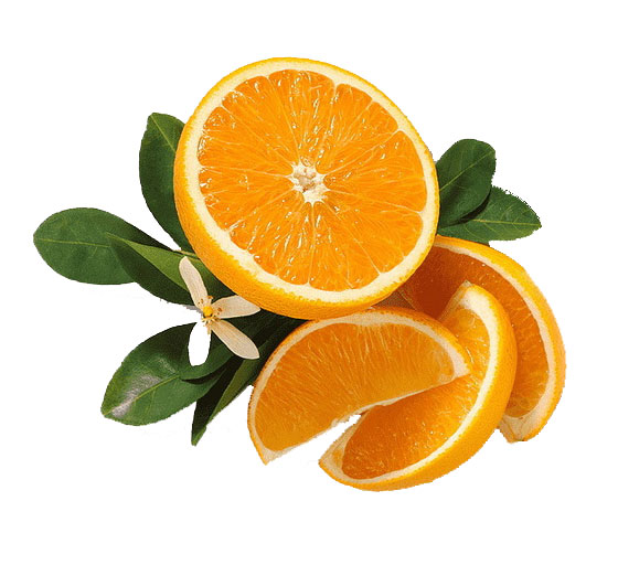 نهال نارنگی پیج